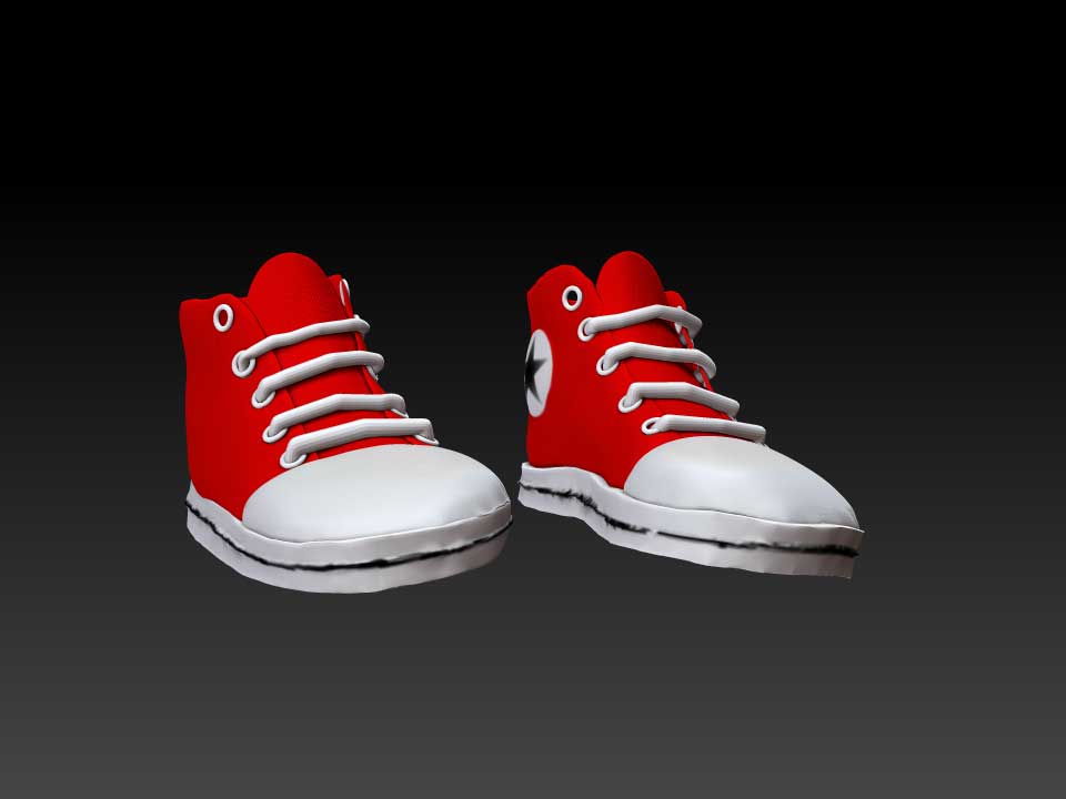 shoe.jpg