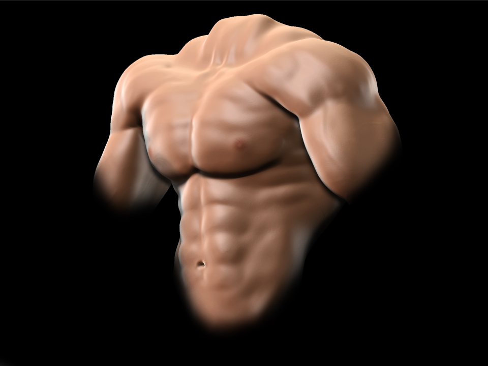 upper body sculpt update.jpg