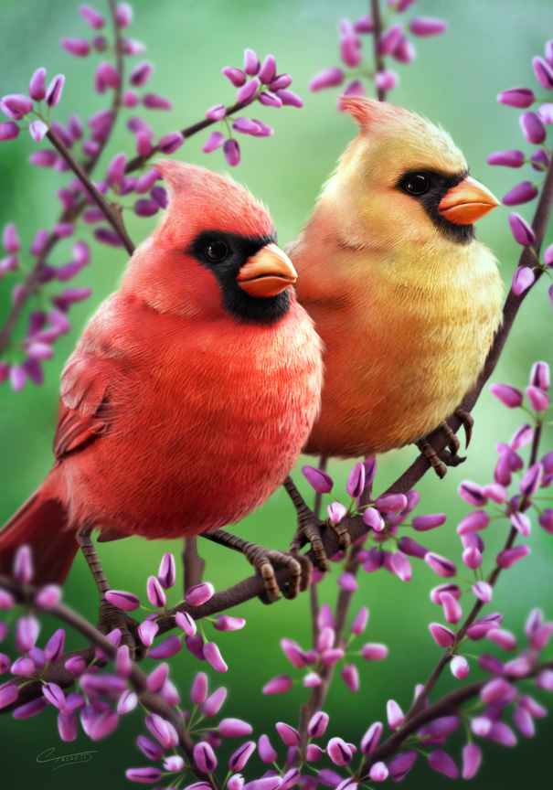CardinalFinal.jpg