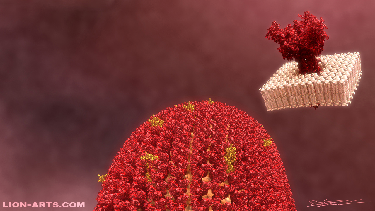 EbolaTrimerLayer_Render_Daniel_De_Leon_Lion-Arts.jpg