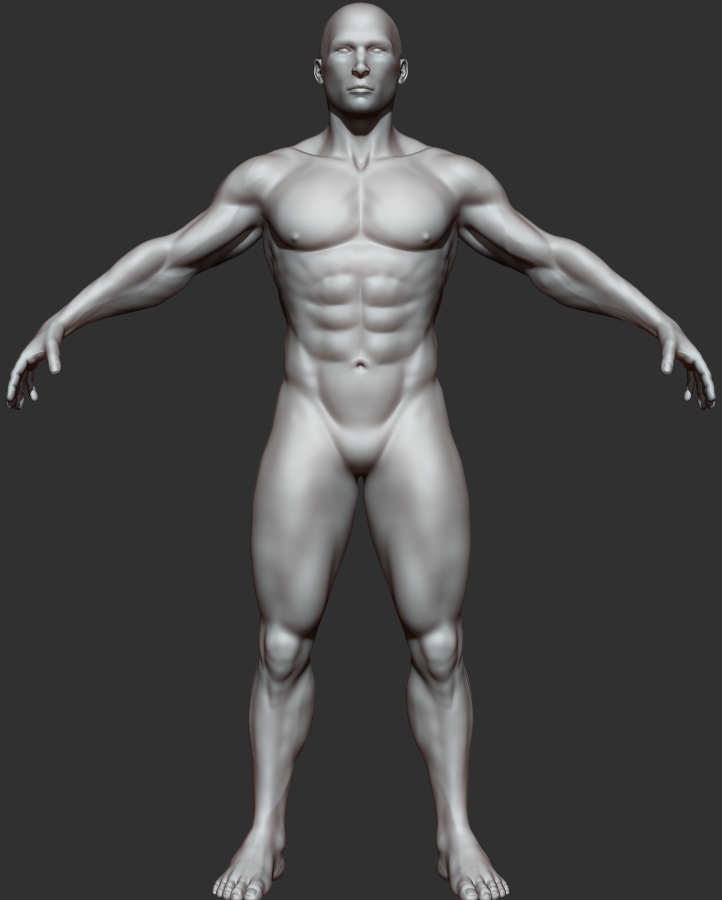 muscular guy_front.jpg