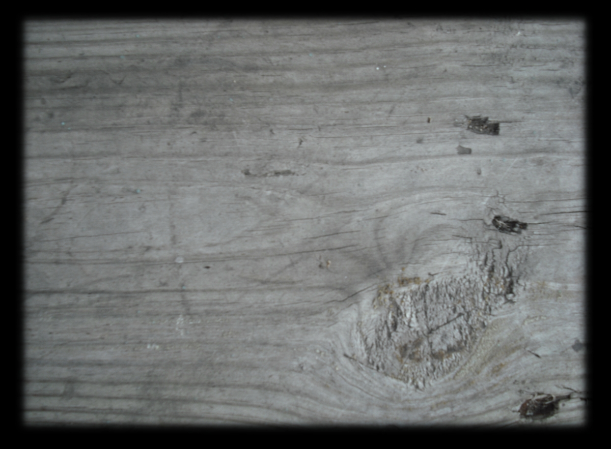 Wood_3 010.JPG