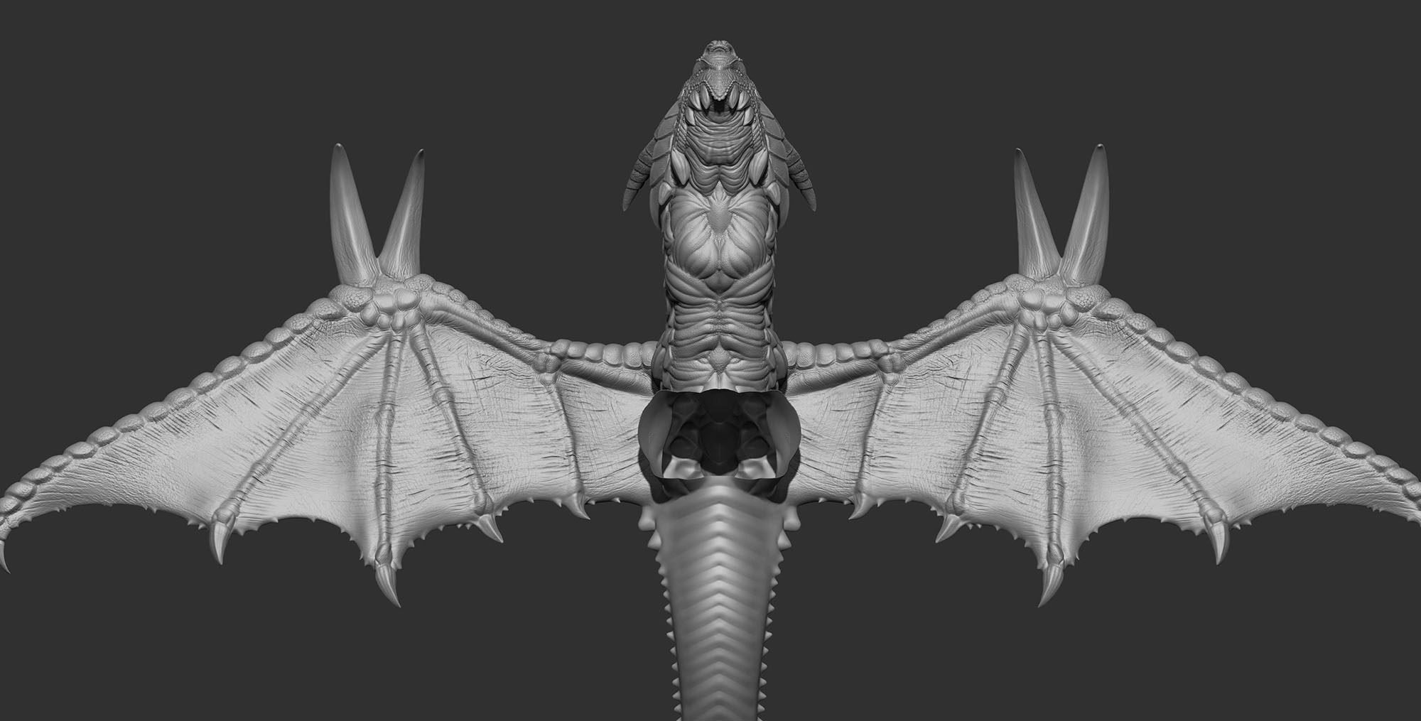 LongBody.jpg
