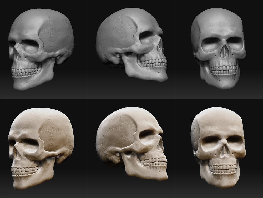 ZSkulls.jpg