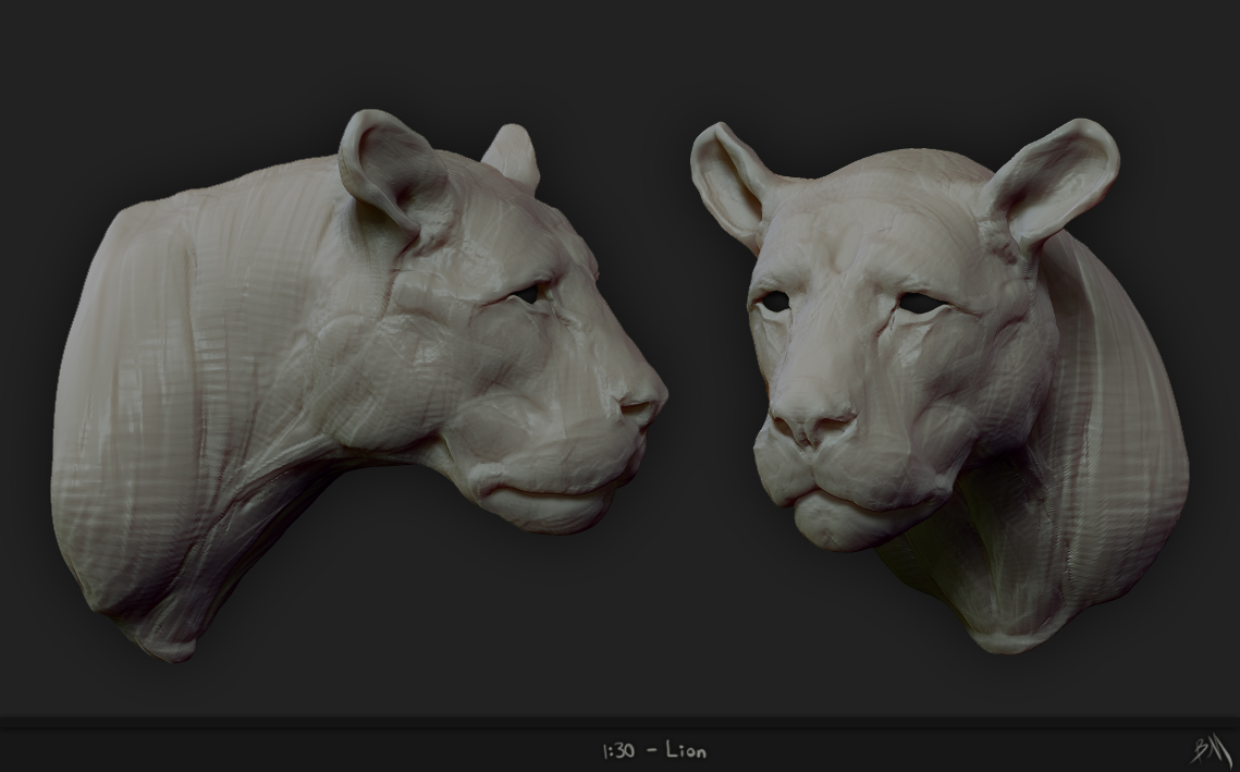 SpeedSketch_Lion_01.30.jpg