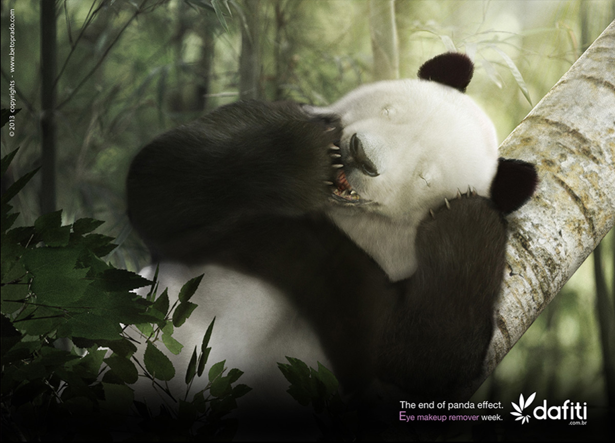 panda01.jpg