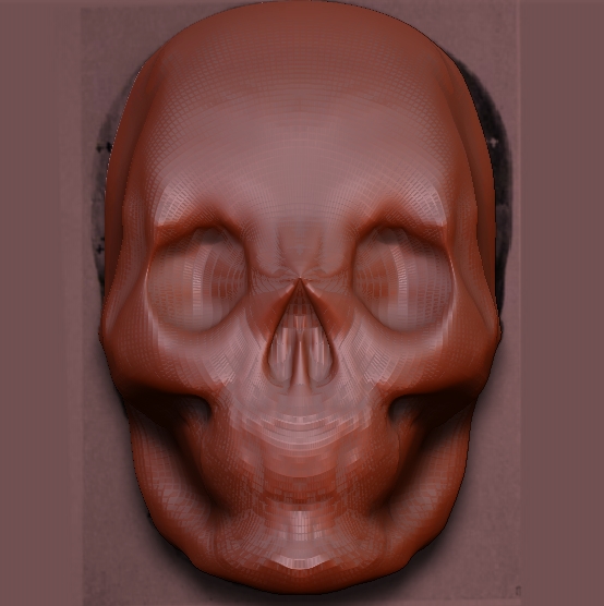 skull in zbrush tutorial