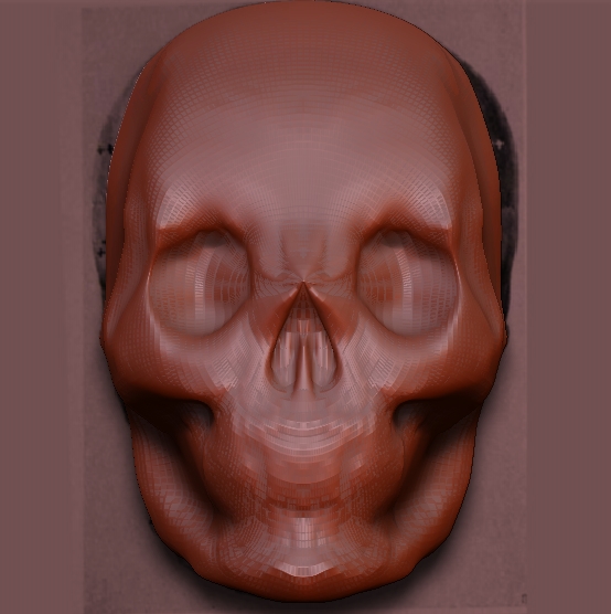 skull.jpg