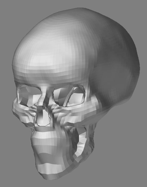 skull.jpg