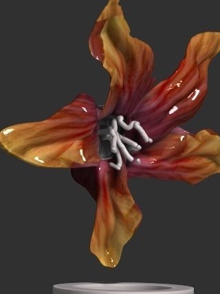 lily renderzbrush2