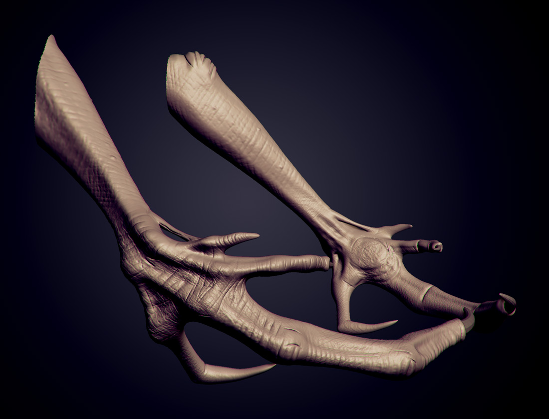 hands.jpg