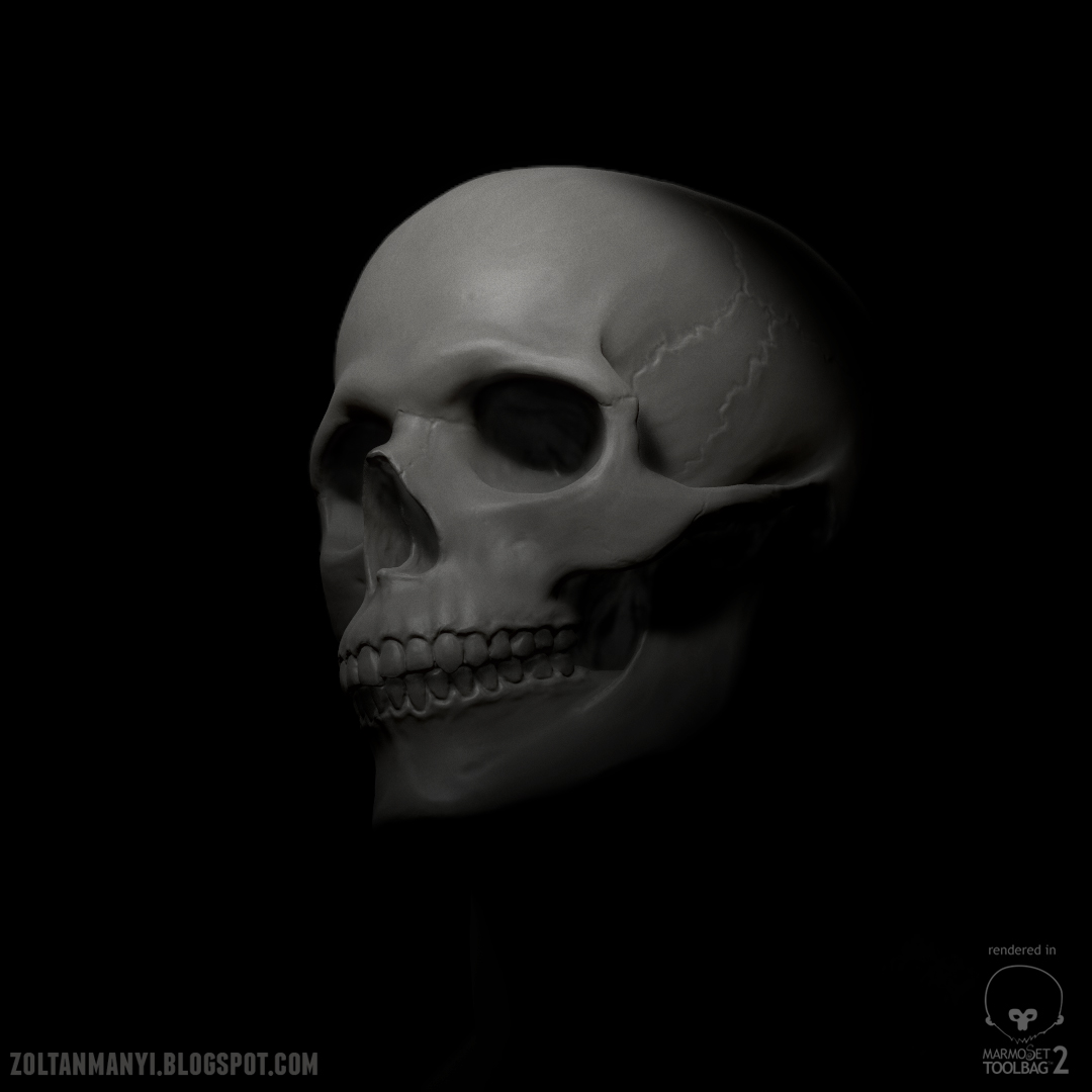 SkullMarmo_shot_07.jpg