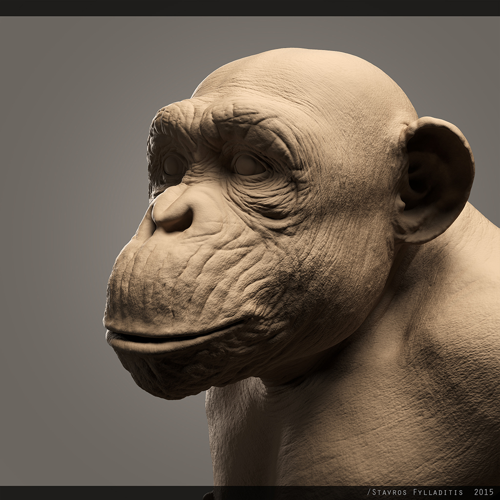 chimp_03.jpg