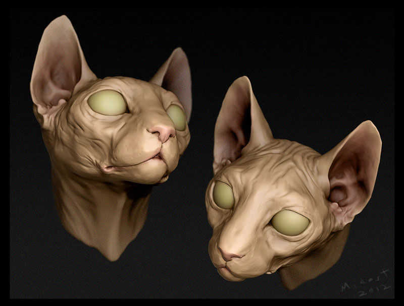 cat_bust_midost.jpg
