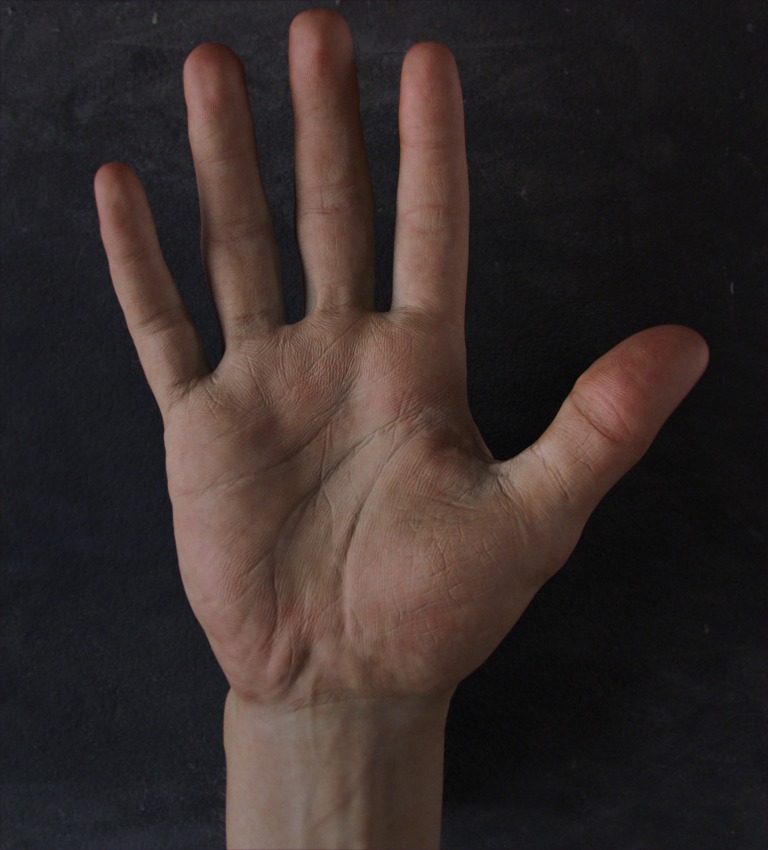 hand_front.jpg
