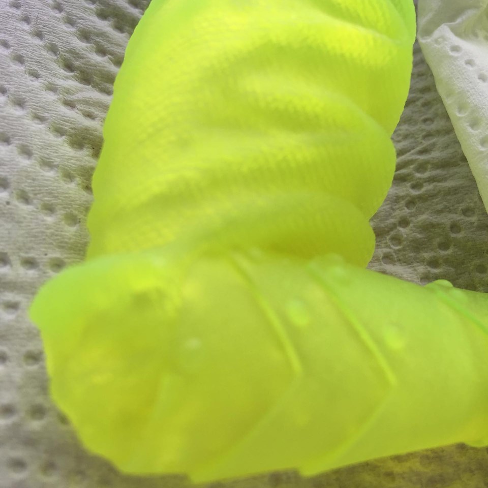 66320542_2551827318185111_5245380942276591616_n