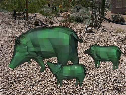 javalina_family.jpg