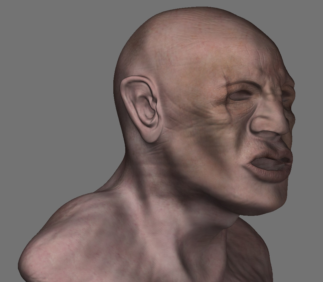fastchader.jpg