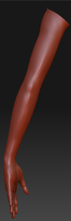 arm_s2.jpg