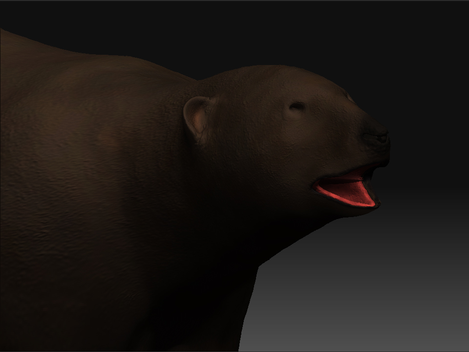 Bear 4.jpg