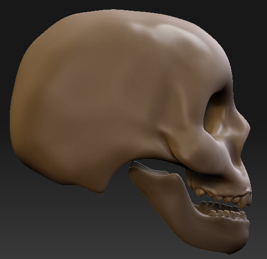 skulls.jpg