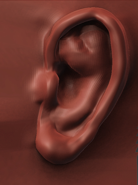 red chavant earv1.jpg