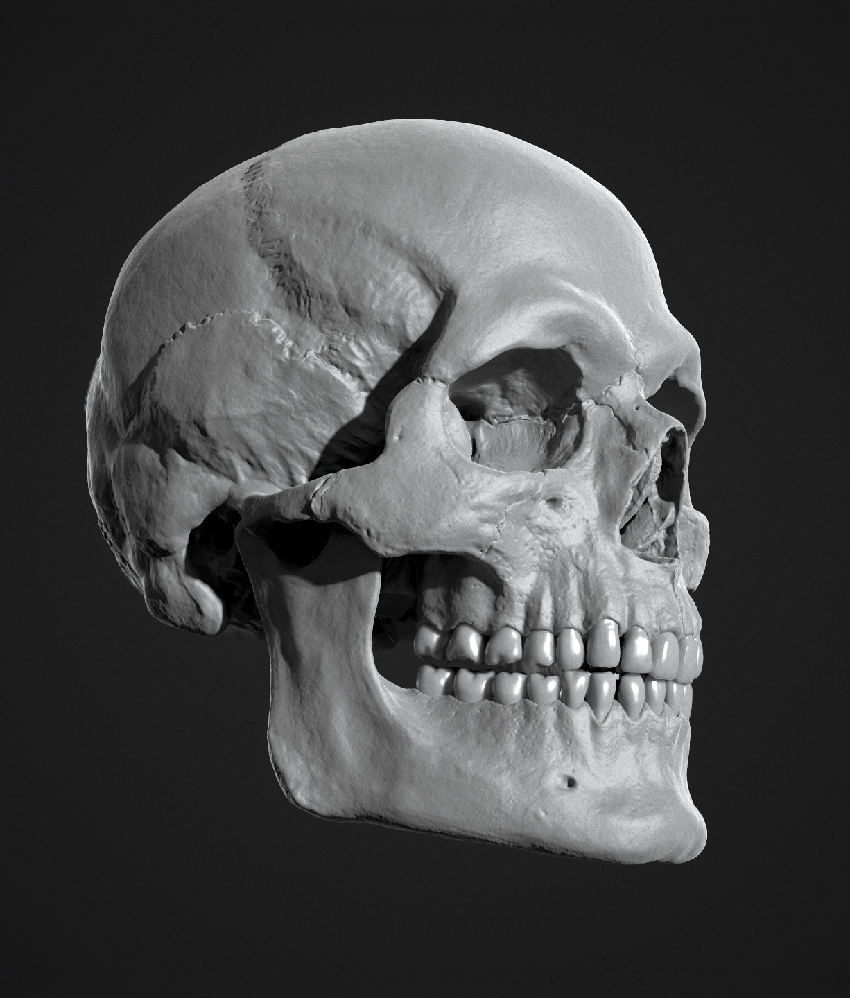 skull005.jpg