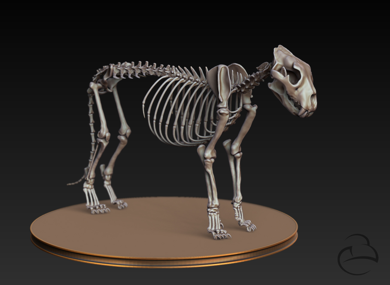 Skeleton_Lion_front.jpg