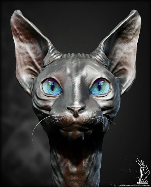 Sphynx-Cat.jpg