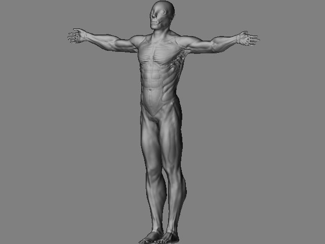 treequart.jpg