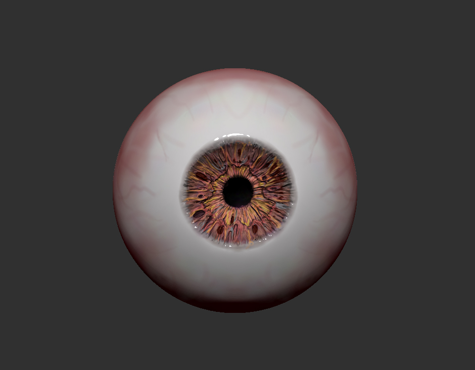 Eye-Zbrush