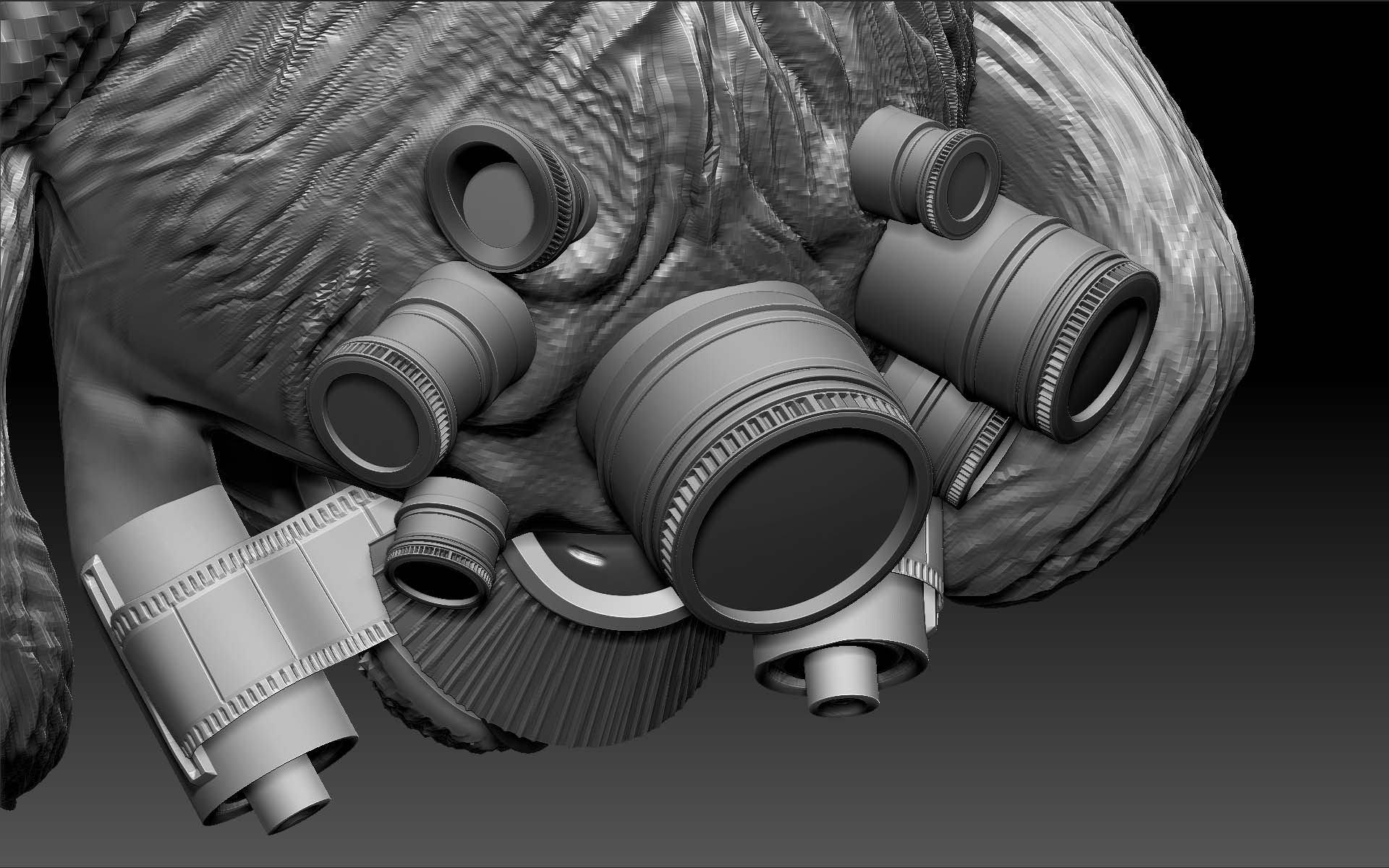 lensees_detail_001.jpg