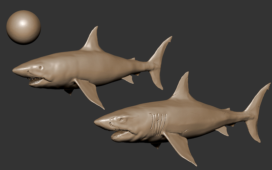 SharkSteps_miniature.jpg