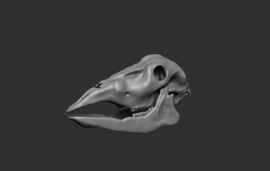 Deer _render _v005