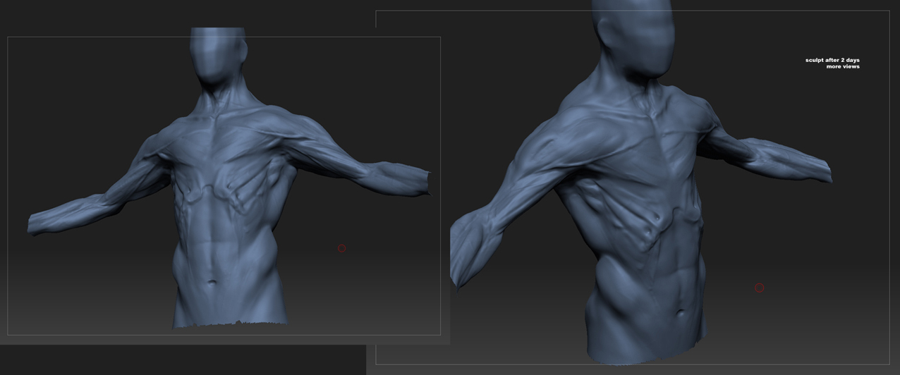 beesub_WIP_sC.jpg