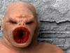 thumb3.jpg