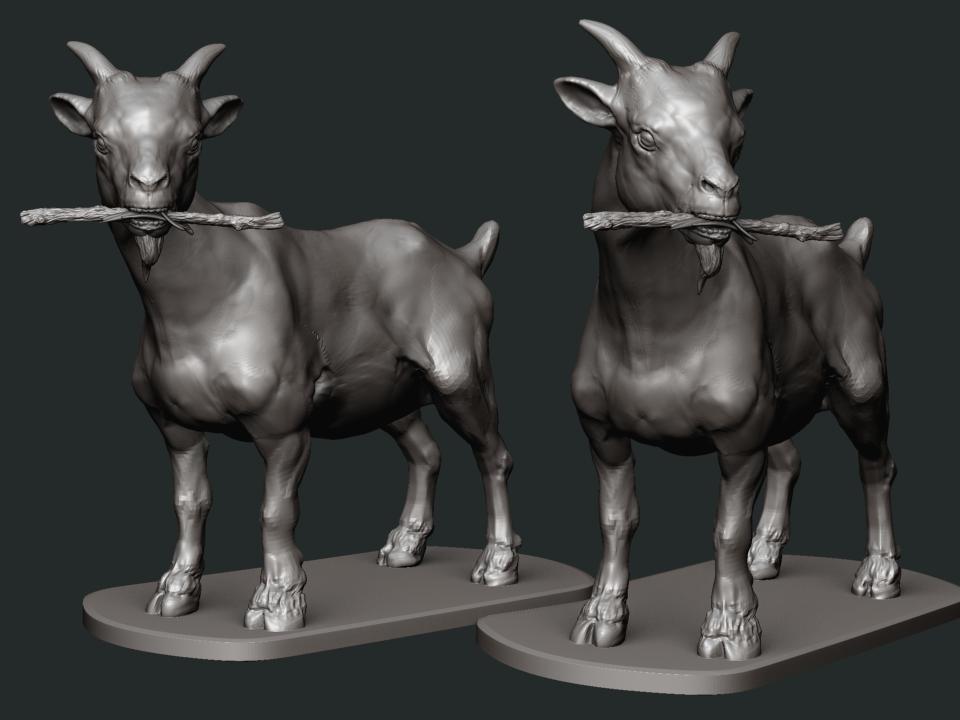 animal sketch  v5..2 pose1.jpg