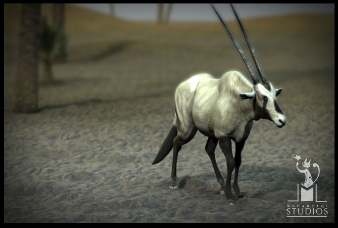 oryx11.jpg