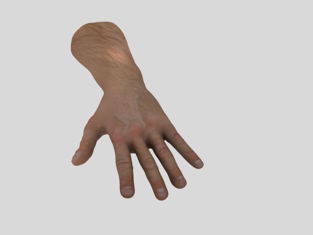 HandTop.jpg