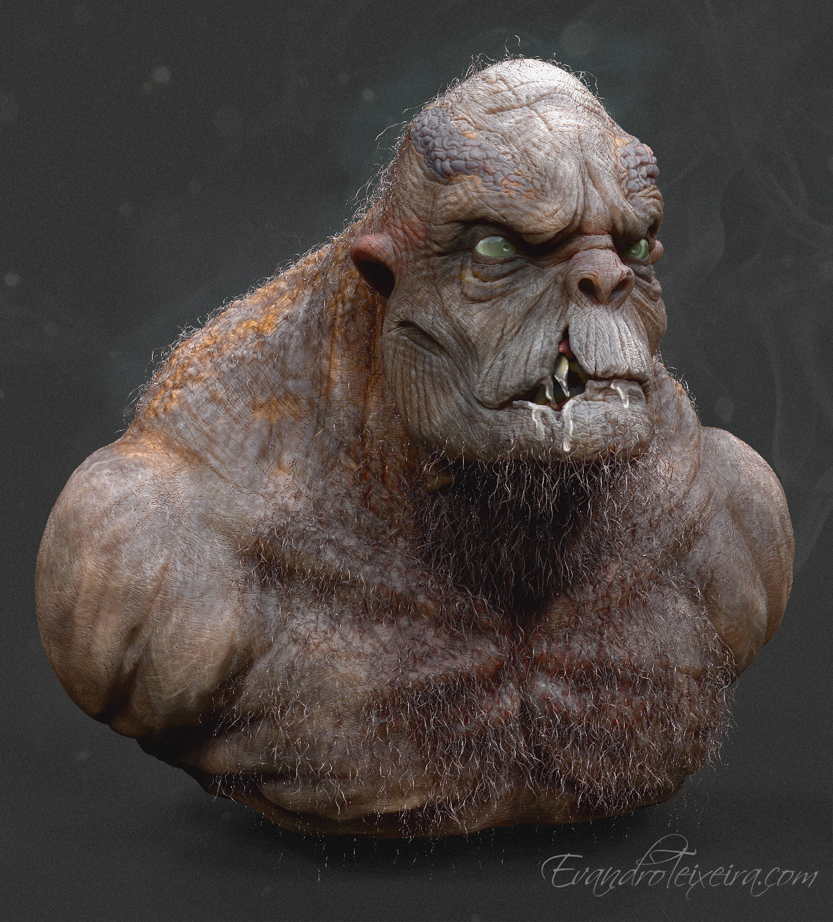 render01_new_ZB.jpg