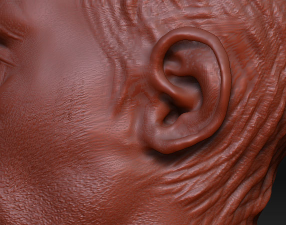 ear-new.jpg
