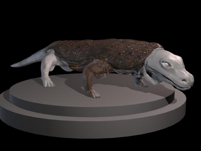 komodo_4.jpg
