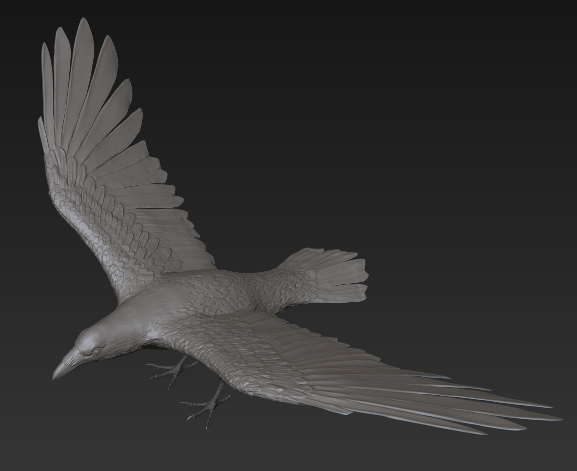 raven_01.jpg