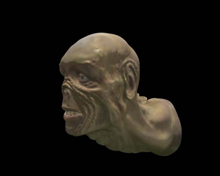 turtle.1.jpg