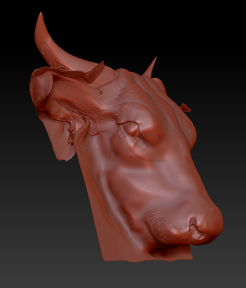 cow2.jpg