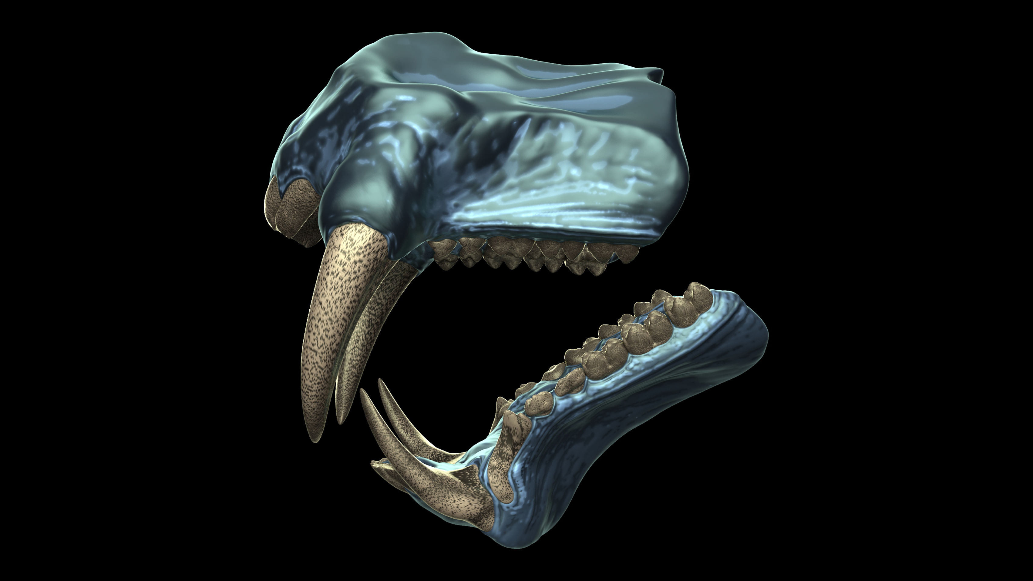 Teeth_Kits_Master_Views_Mandrill_11.jpg