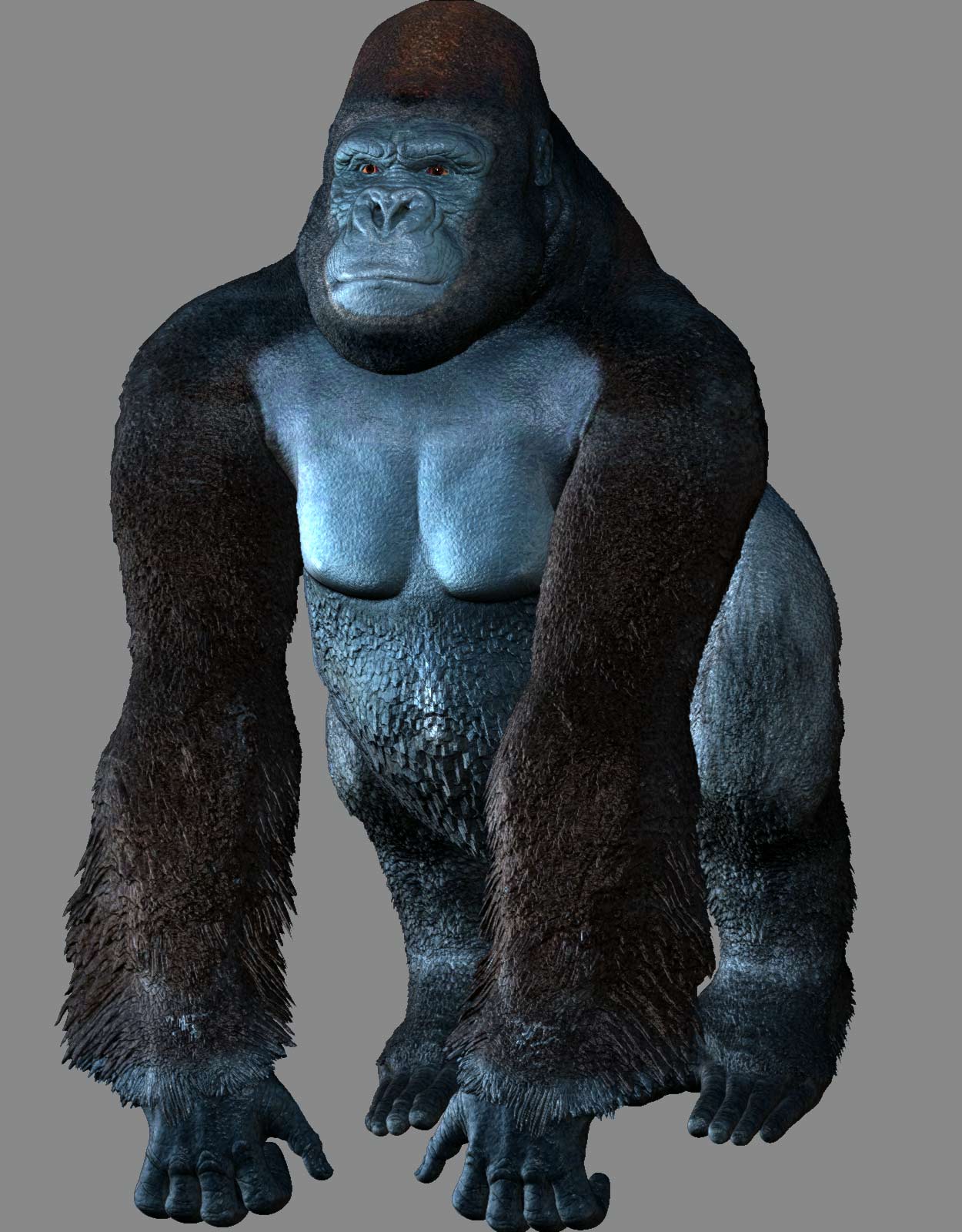 gorilla_06.jpg