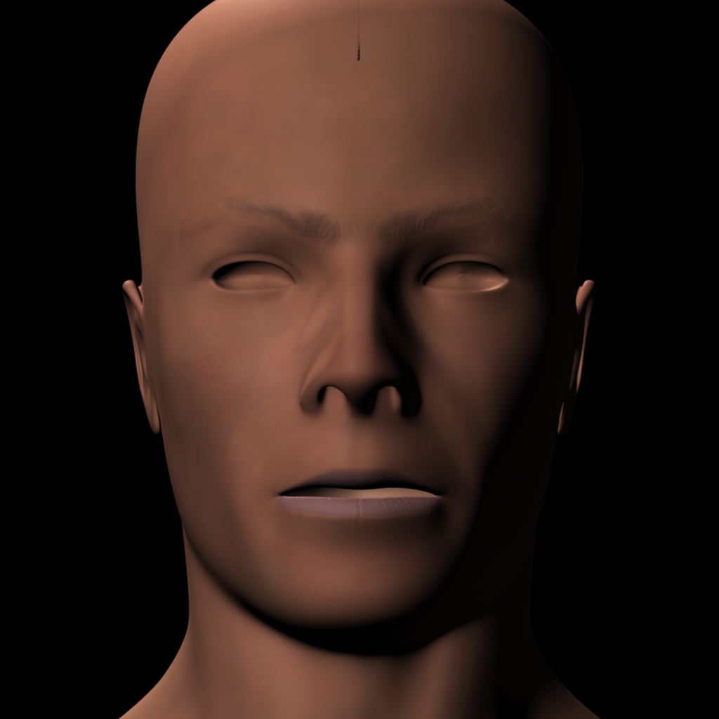 crit7_Maya_head.jpeg