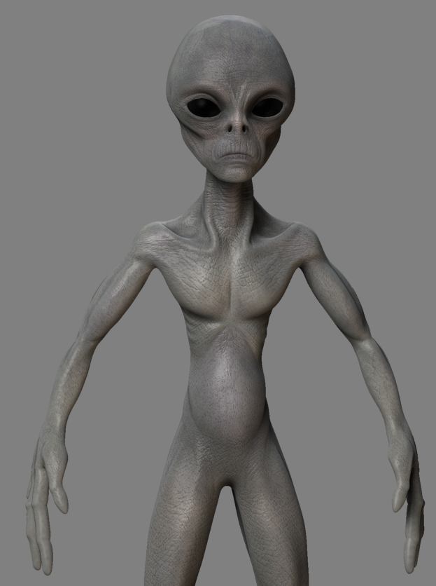 Wip8.JPG