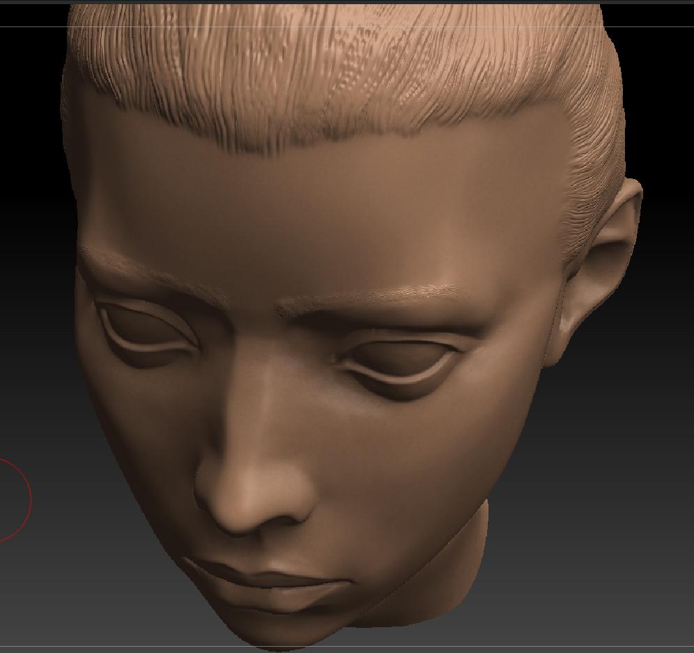 femaleheadfinal4.jpg